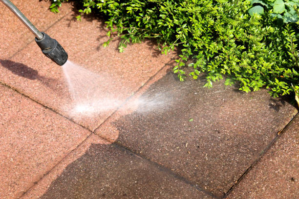 Best Roof Power Washing Services  in Minerva, OH